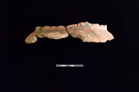 藏品(陶罐)的圖片